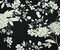 Black-White Famous Designer Floral Printed Georgette Woven Fabric By the Yard